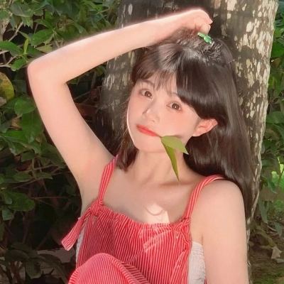 太极熊猫3蜗牛版本下载